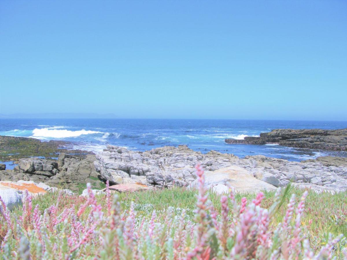 Beachfront House - Hermanus Whale View Villa Екстериор снимка