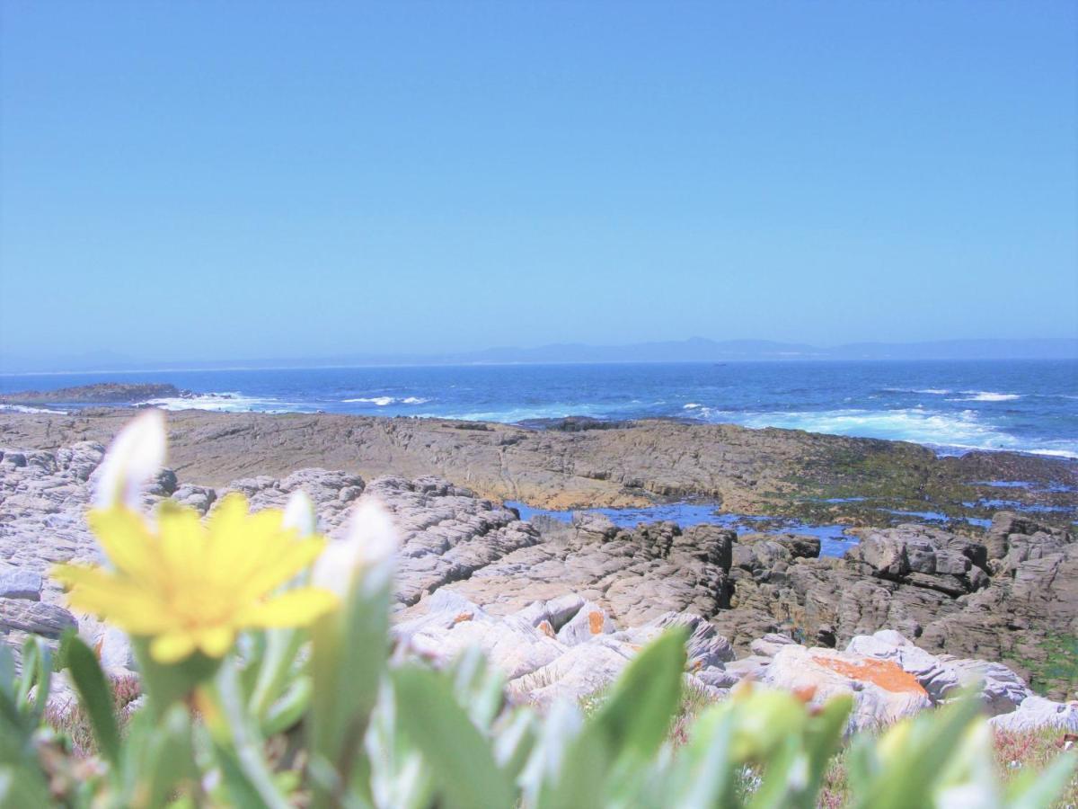 Beachfront House - Hermanus Whale View Villa Екстериор снимка