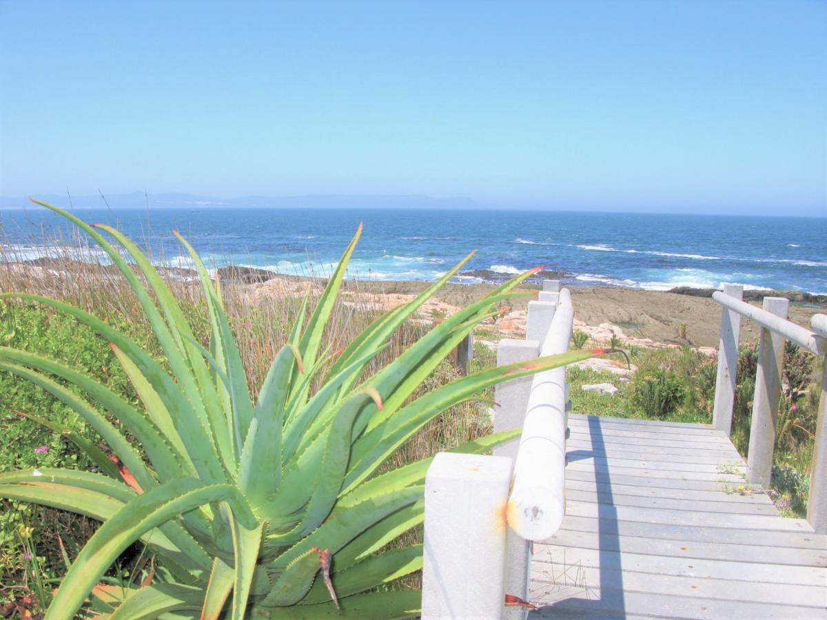 Beachfront House - Hermanus Whale View Villa Екстериор снимка