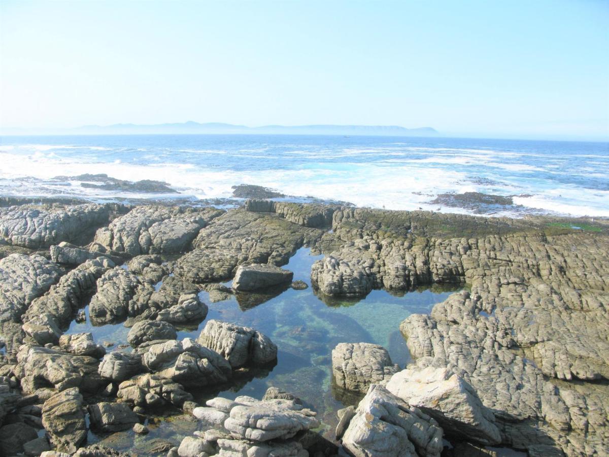 Beachfront House - Hermanus Whale View Villa Екстериор снимка