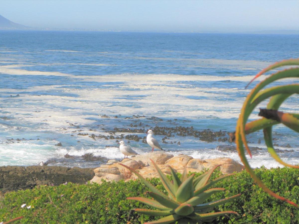 Beachfront House - Hermanus Whale View Villa Екстериор снимка