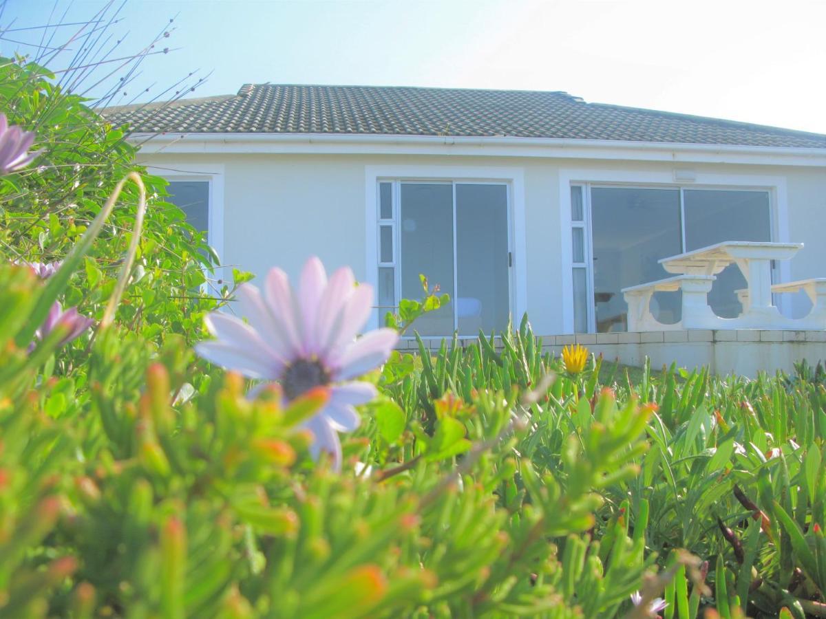 Beachfront House - Hermanus Whale View Villa Екстериор снимка